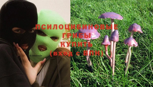 мяу мяу мука Алексин