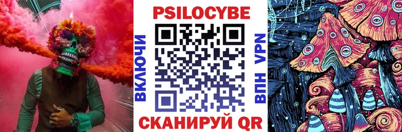 наркотики  Николаевск  Псилоцибиновые грибы GOLDEN TEACHER 